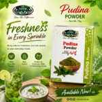 Al Noor Pudina (Mint) Powder 75 GM