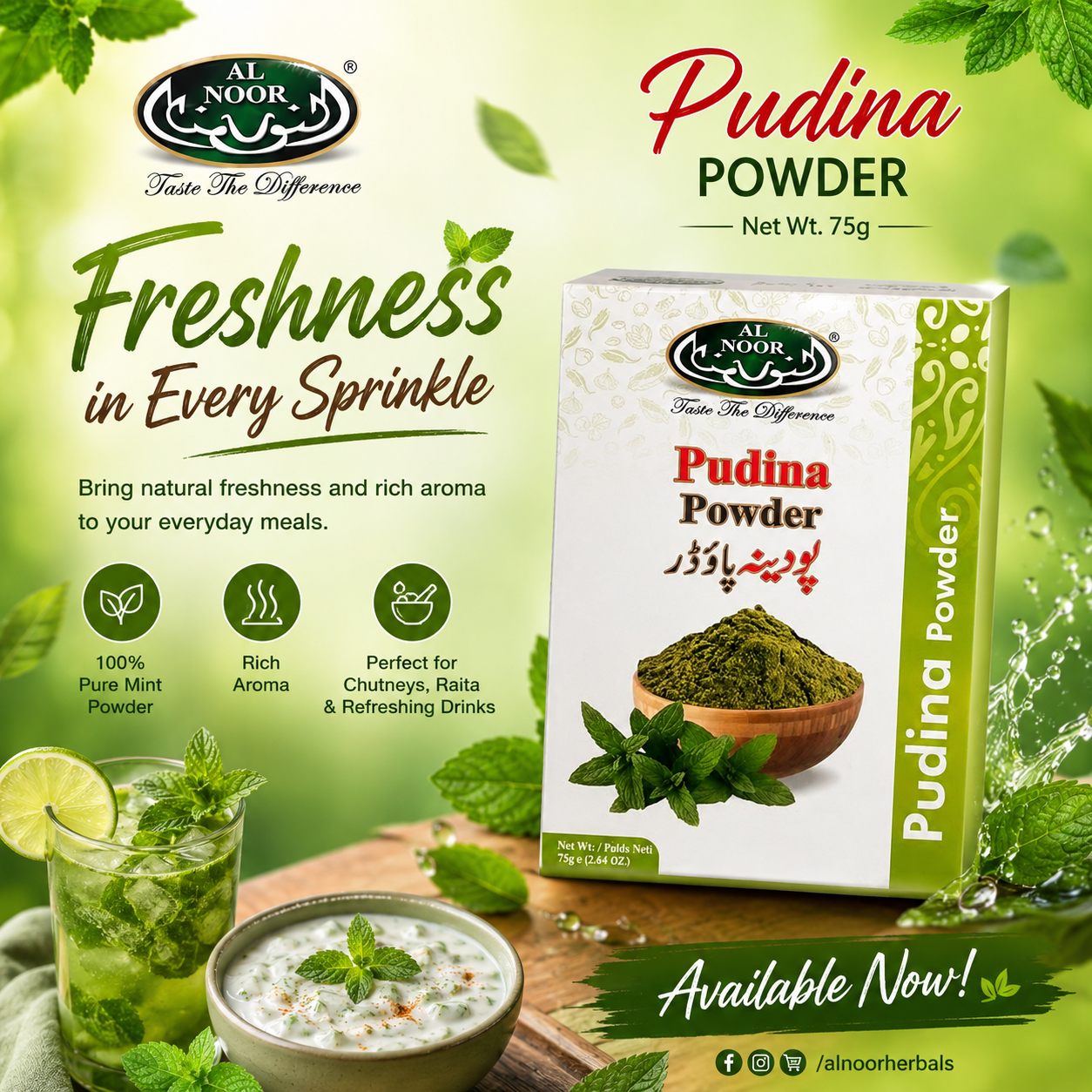 Al Noor Pudina (Mint) Powder 75 GM