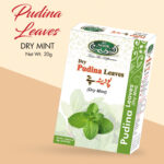 Al Noor Pudina Leaves |20G|