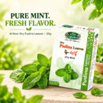 Al Noor Pudina Leaves |20G|
