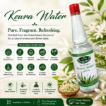 Al Noor Kewara Water|800ml|